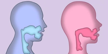 why women and men have different voices 130509