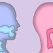 why women and men have different voices 130509