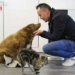 worlds oldest living dog dies at 31