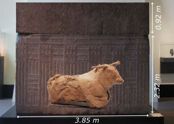 Comparison of the size of a mummified bull and a Serapeum sarcophagus