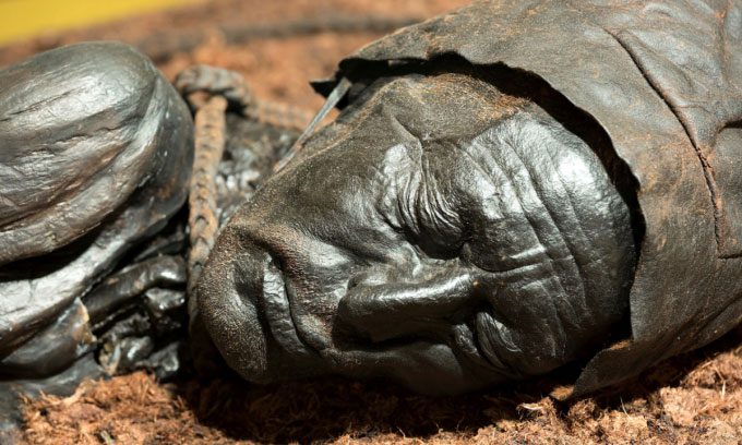 Tollund Man, a wetland mummy approximately 2,400 years old.