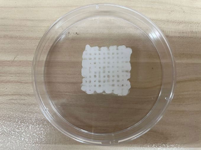 The shape of artificial bone after being printed from a 3D bioprinter.