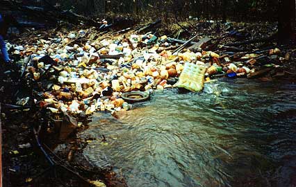 Waste Polluting Rivers and Lakes