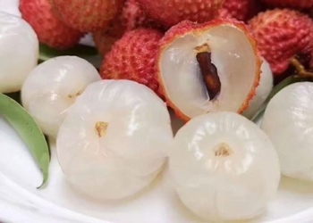 3 types of fruits you cannot miss during the doan ngo festival but need to be careful when eating to avoid harming health 128185
