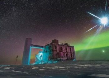 60 000 magic bean reveals the identity of the second entity of the long ha 128386