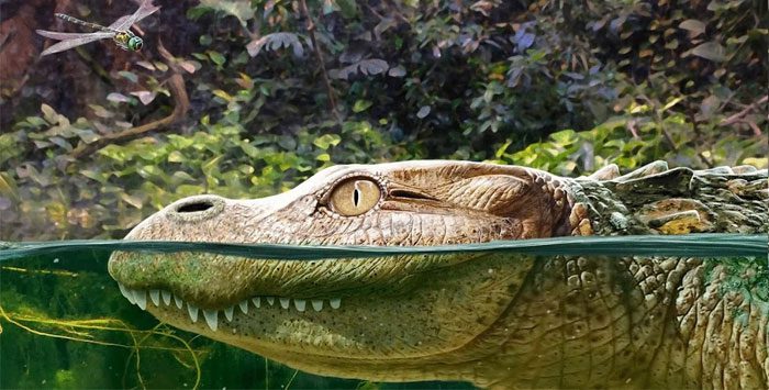 Graphic portrait of the new creature from Thailand