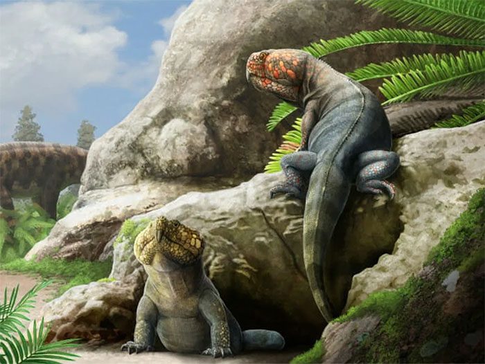 Newly Revealed Creature in the U.S.