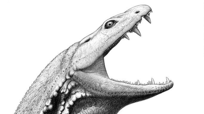 Appearance of the 330-million-year-old "killer tadpole"