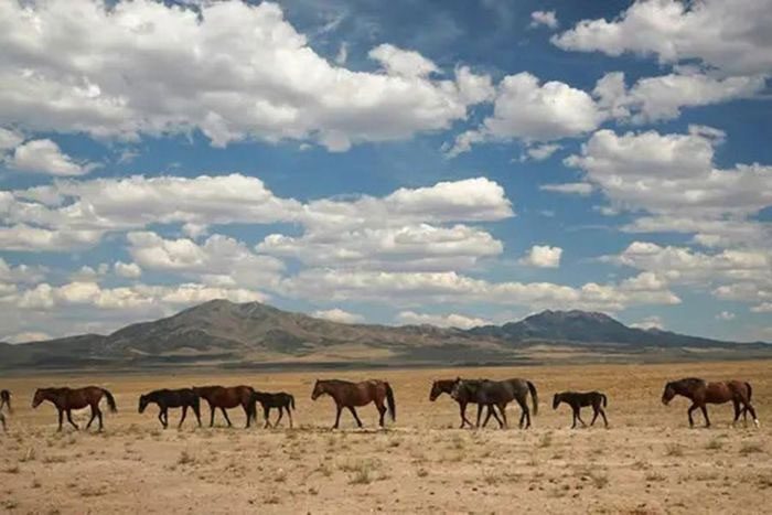 Dugway Proving Ground