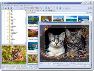 FastStone Image Viewer