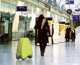 Fido Luggage
