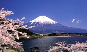 Fujiyama