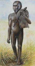 Homo floresiensis