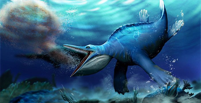 The appearance of the aquatic monster excavated in Hubei, China