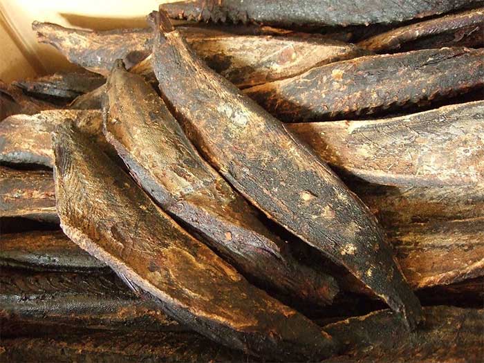 Katsuobushi can easily be mistaken for a piece of wood.