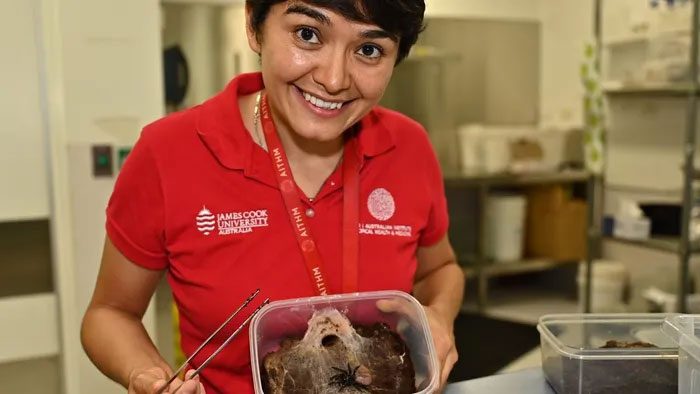 Ms. Duran has spent considerable time researching funnel-web spiders.