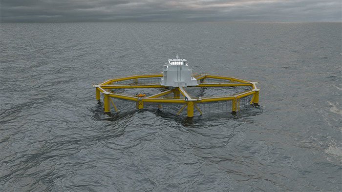 Ocean Farm 1 4