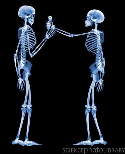 Skeleton10