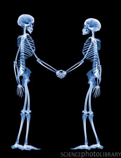 Skeleton2