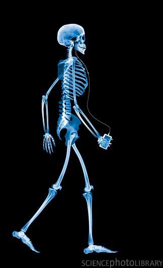Skeleton4