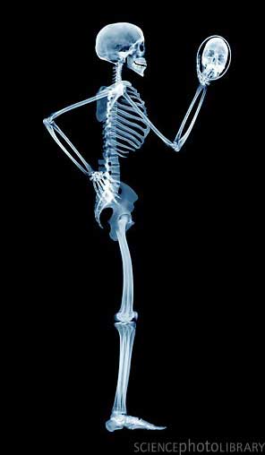 Skeleton6