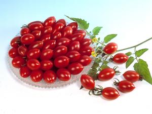 Tomatoes
