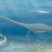a type of meat eating marine reptile 5804