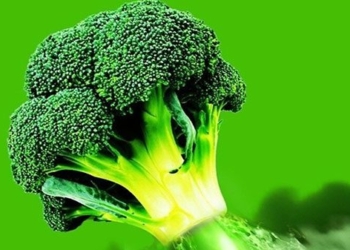a type of super green cabbage grown in experiments in the uk 128267