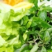 a way to eat many people praise deliciousness but it can make the body have to bear the burden 127812