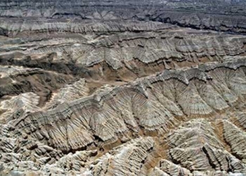 admire the unique zanda forest in tibet 126870