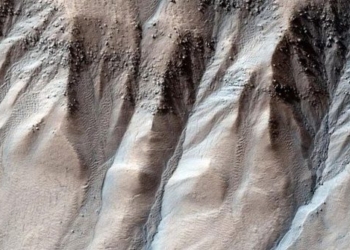 amazed by the possibility of living on another planet 128719