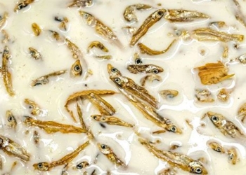 amazed with the type of ice cream made from dried cuttlefish not everyone can try 123076