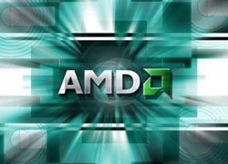 amd play card horse 5980