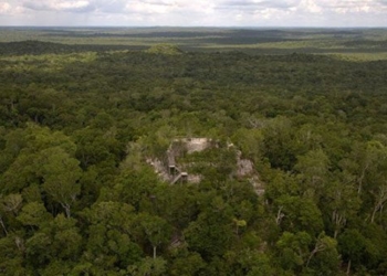 american scientists discover 3 000 year old highway system hidden in the forest 127631