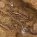 ancient cemetery 2000 years old in paris capital 127064