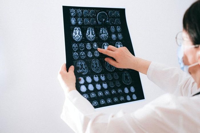 Humans have distinct gene sequences in their brains compared to over 200 other animal species.