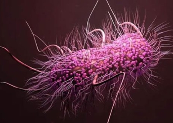 antibiotics from evolving weapons against antimicrobial resistance 128085