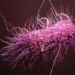 antibiotics from evolving weapons against antimicrobial resistance 128085