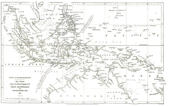 Map of the Malay Archipelago drawn by Alfred Russel Wallace in 1863