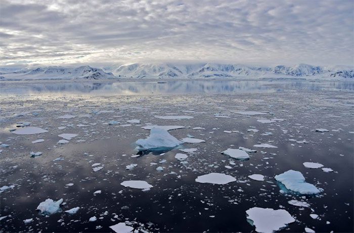 Ice drift in Chiriguano Bay, South Shetland Islands, Antarctica.