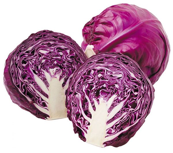 Purple Cabbage