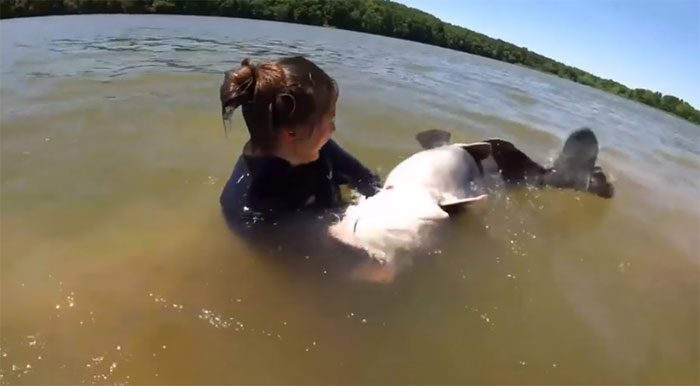 After a long struggle underwater, Hannah caught a catfish weighing approximately 30kg.