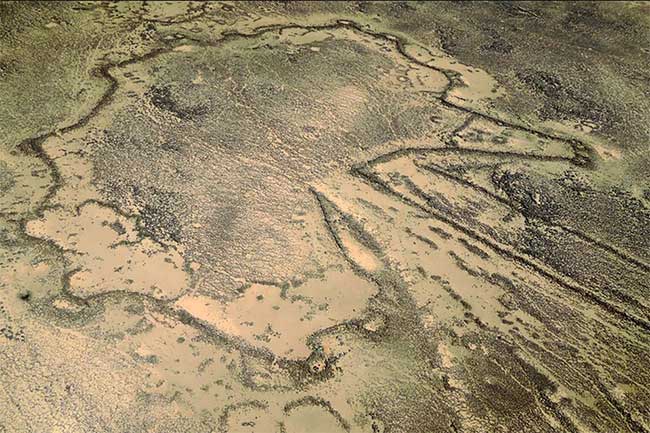 The hunting traps resemble kites when viewed from above.