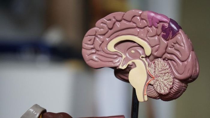 The number of cases of the mysterious brain disorder is increasing.