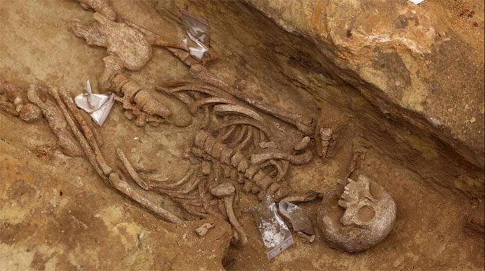 One of the ancient skeletons unearthed.