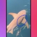 brave tho lan takes out the garbage in the fishnet 128874