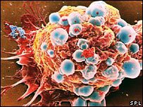 Cancer cells produce many proteins