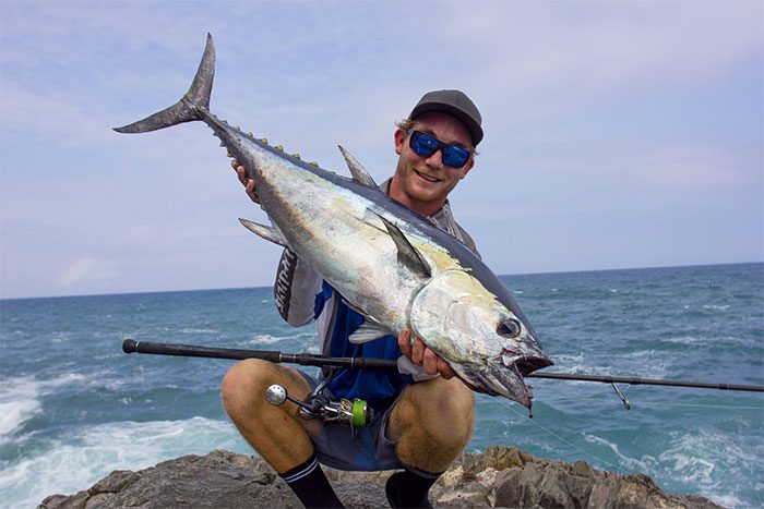 Longtail Tuna
