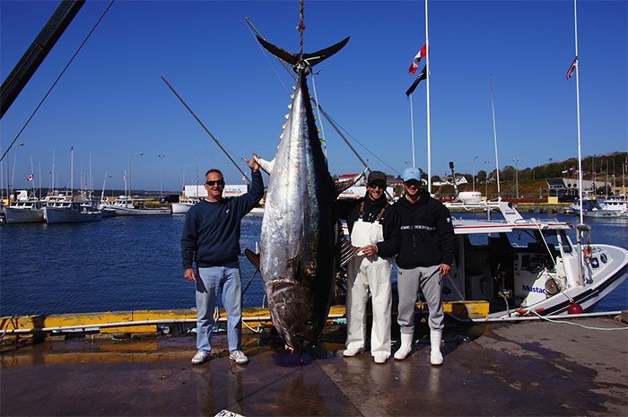 Pacific Bluefin Tuna