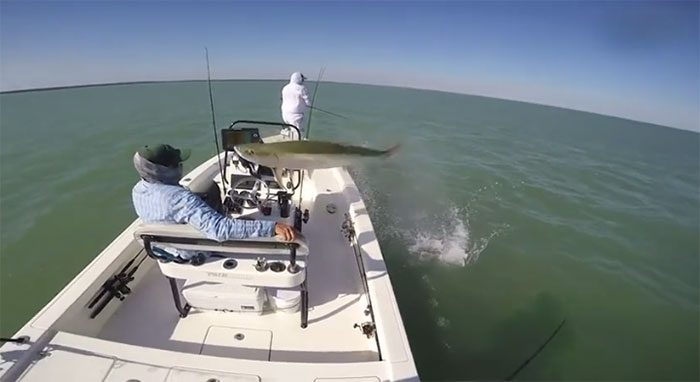 The fish jumps right in front of a man named Ben Olsen.